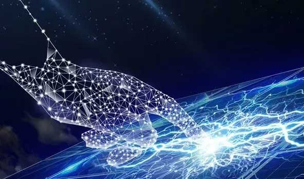 ERP實(shí)施輔導(dǎo)